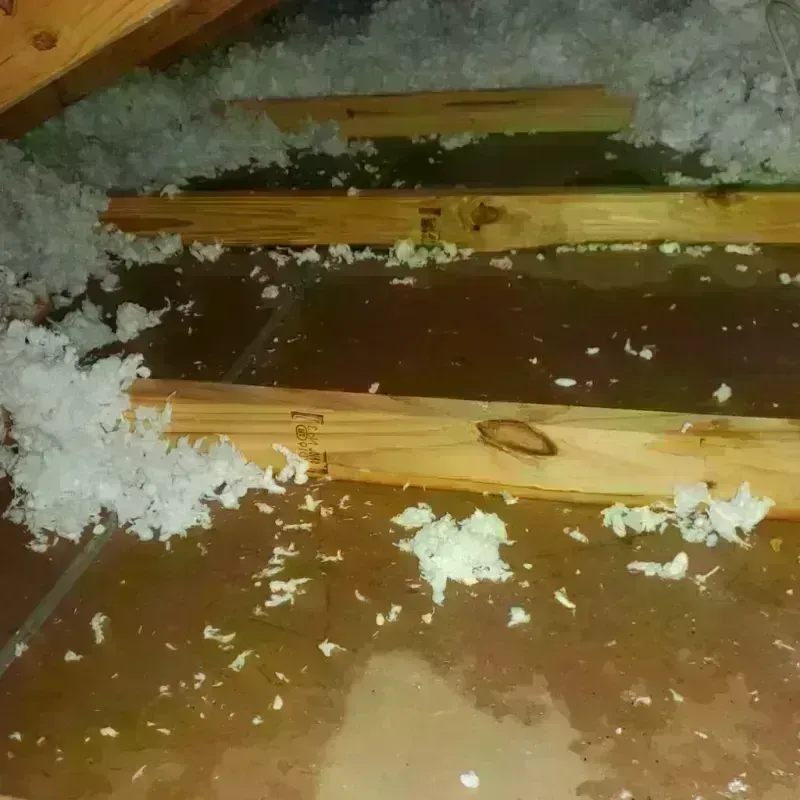 Attic Water Damage in Gloucester, MA