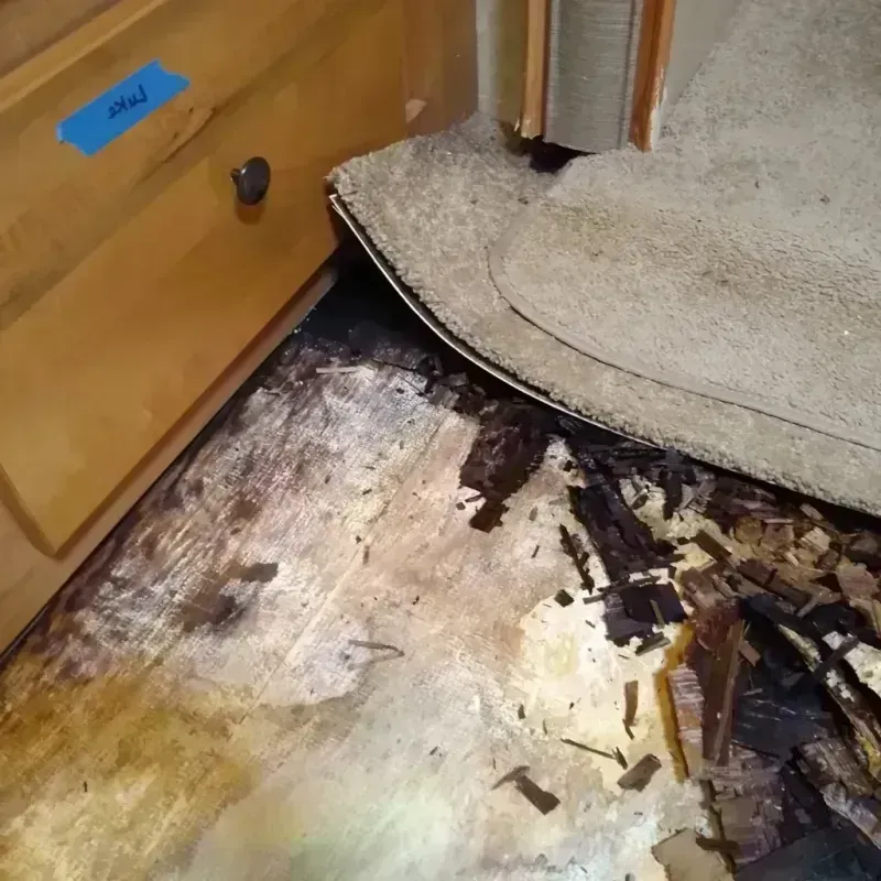 Best Wood Floor Water Damage Service in Gloucester, MA